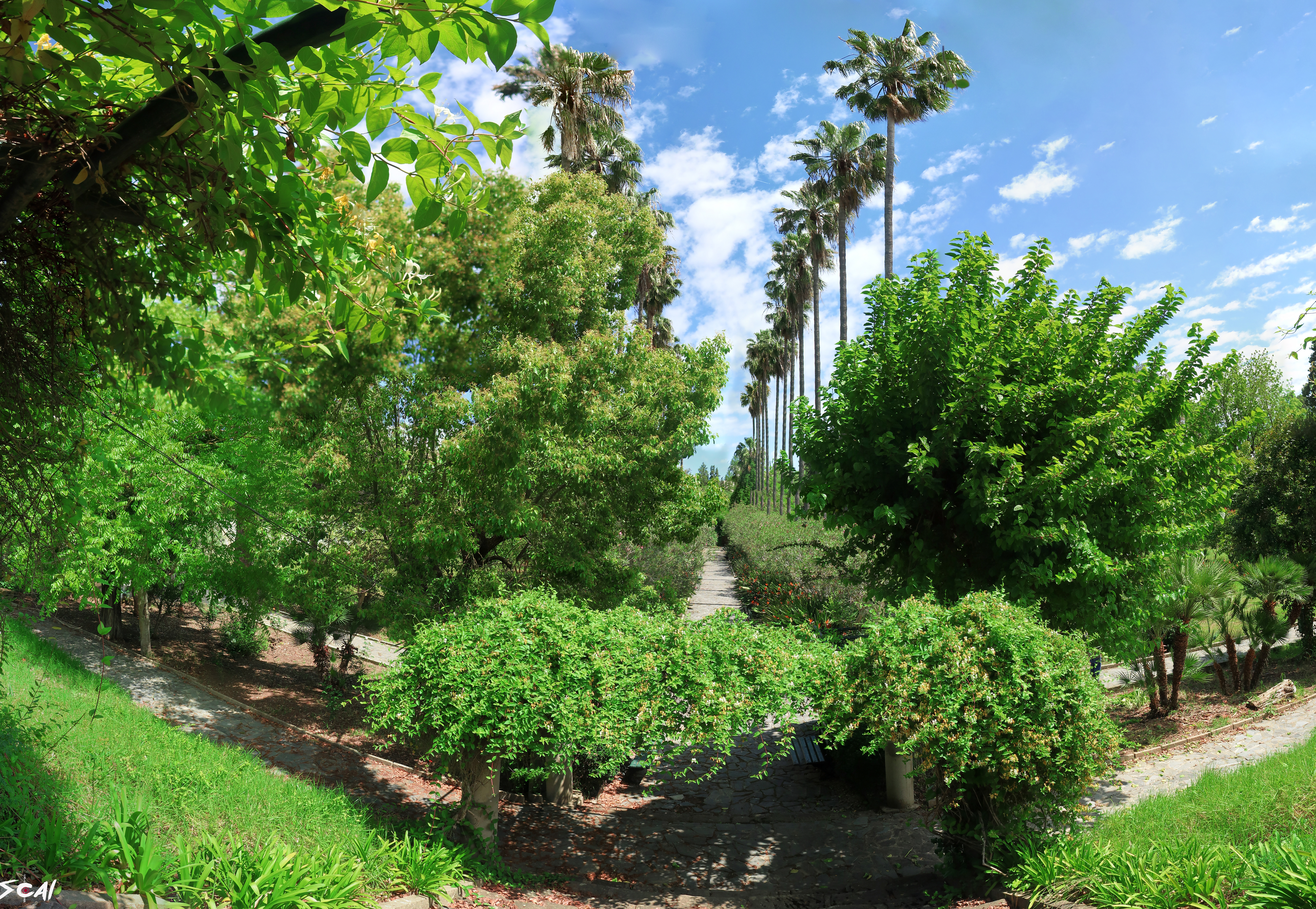 Image de l'université